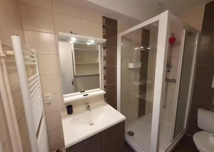 Διαμέρισμα Le Drapeau : 2 Personnes, 1 Ch, Avec Balcon Ντιζόν